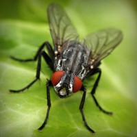 /album/egawinto/photolia-a01-jpg/