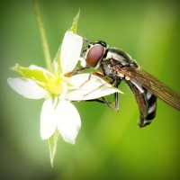 /album/egawinto/photolia-a02-jpg/