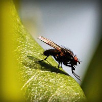 /album/egawinto/photolia-a04-jpg/