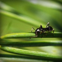 /album/egawinto/photolia-a05-jpg/