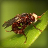 /album/egawinto/photolia-a06-jpg/