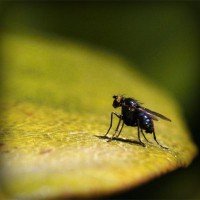 /album/egawinto/photolia-a07-jpg/