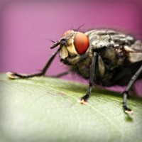 /album/egawinto/photolia-a08-jpg/